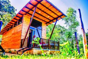 Glass Roof Southern Edge Cabanas