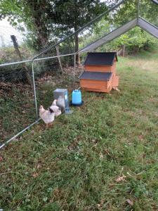 Villas Maison entouree d animaux en pleine campagne : photos des chambres