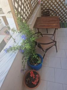 Kanari Apartment