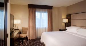 Premium Suite with One King Bed room in Embassy Suites by Hilton Houston Near The Galleria