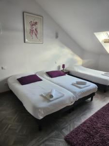 B&B / Chambres d'hotes The garden house & aloes bien-etre spa : photos des chambres