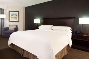 King Room with Pool View room in Hilton Houston NASA Clear Lake