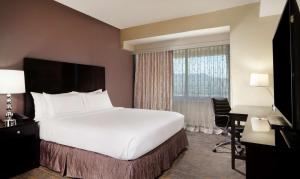 King Room with Roll-In Shower - Mobility Access room in DoubleTree by Hilton El Paso Downtown