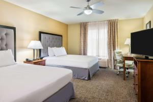 Two Bedroom Suite with One King and Two Queen Beds - Non-Smoking room in Homewood Suites by Hilton St. Louis Riverport- Airport West