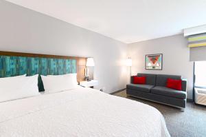 King Room with Sofa Bed - Non-Smoking room in Hampton Inn Richmond-West Innsbrook