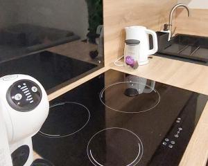 Appartements ArtGrey * Ideal Pro * Roanne Secteur Gare et rue pietonnes : photos des chambres