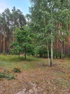 Agroturystyka Zacisze nad Pilicą