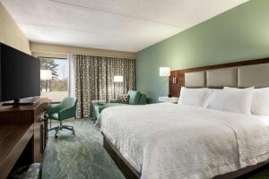 King Room with King Bed - Non-Smoking room in Hampton Inn Richmond/Ashland