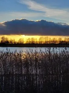 Dom Wypoczynkowy u Krysi - Mazuchówka