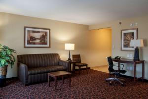 King Studio Suite - Non-Smoking room in Hampton Inn & Suites Watertown
