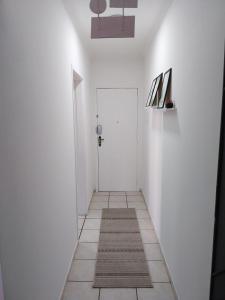 Ótimo Apartamento Guilhermina