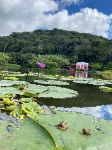 Solar dos Pássaros - Pacoti