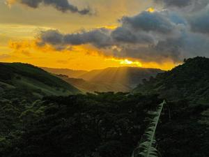 Casa Curré Monteverde