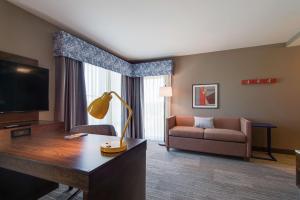 King Studio with City View - Hearing Accessible/Non-Smoking room in Hampton Inn & Suites by Hilton Nashville North Skyline