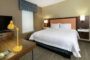 King Room - Hearing Access/Non-Smoking room in Hampton Inn & Suites By Hilton-Columbia Killian Road