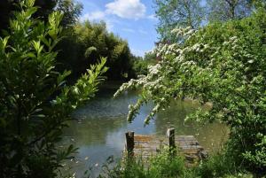 Maisons de vacances Romantique, avec son petit etang prive en Dordogne : photos des chambres