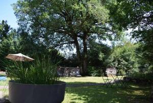 Maisons de vacances Romantique, avec son petit etang prive en Dordogne : photos des chambres