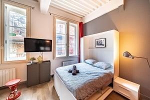 Appartements Le petit Pradel-studio cosy-Opera Hotel de Ville : photos des chambres