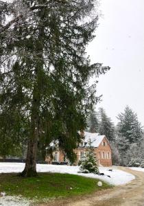 Maisons de vacances DOMAINE DE MALVAUX - Sologne - Gite de charme 15 personnes - Nouan le Fuzelier : photos des chambres