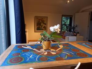 Ruim vakantie huis Marke Lemselo in de natuur