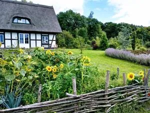 Podroże Chëcz - Lędziechowo