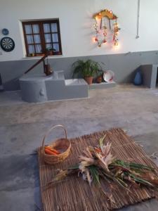 CASA DA VOVÓ CÉU - Casa de Campo Gandaresa - Country House, entre COIMBRA e AVEIRO, a 15 minutos carro Praia Mira - Quintal com piscina insuflável
