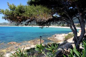Hotels Hotel L'ondine : Chambre Quadruple - Vue sur Jardin