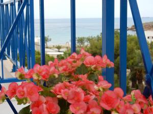 Meltemi Syros Greece