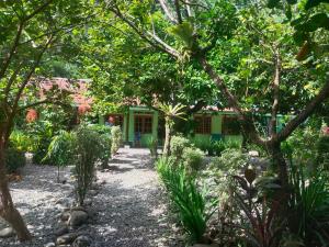 Jungle View Homestay & Guesthouse Only Stay Here Book Treking With Us