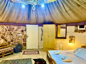 Pink city cottage