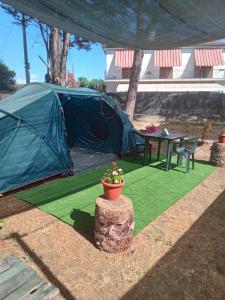 Glamping Pineta