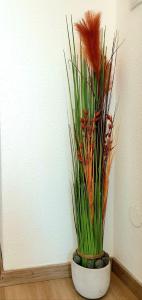 Apartment Steirawohnzimmer