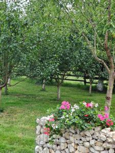 Căsuța dintre brazi