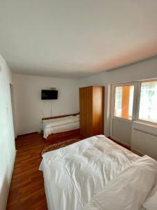 Casa de vacanta trei brazi