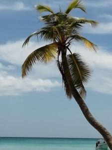 Casa Larimar 214 - Vibe Residence