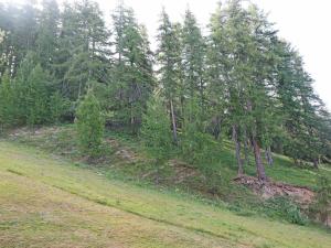 Appartement T2 pour 6 pers, Les Orres, balcon, animaux admis - FR-1-322-218