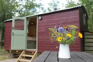 Cosy Shepherd's Hut with Hot Tub - Acton Scott