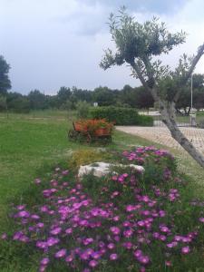 Guesthouse Villa Lena