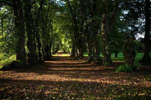 B&B / Chambres d'hotes Chateau de Bouillancourt en Sery : photos des chambres