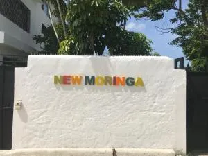 NEW MORINGA - La Iglesia