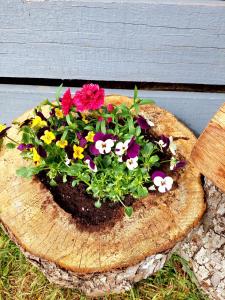 Căsuța din poveste