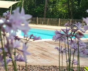 Maisons de vacances Les gites des troubadours : photos des chambres