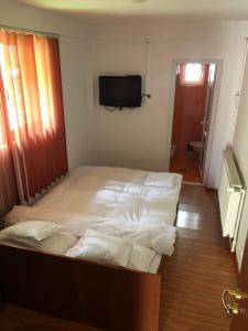 Casa de vacanta trei brazi