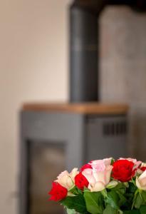 Villa Waldlust - 5 Sterne - 2 Schlafzimmer