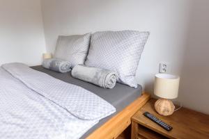 Apartmány Slavíkov - Country Suite