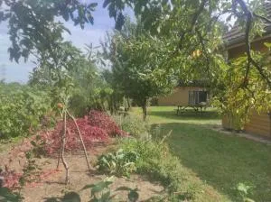 CHALET DU FLORIVAL - Bergholtz