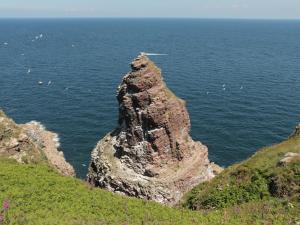 Appartements Cozy apartment near the cliffs of Cap Frehel : photos des chambres