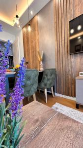 VILA LUNA-Apartman 23