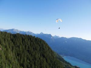 Appartements Appartement 4 personnes Lac d'Annecy : photos des chambres