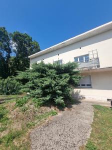 Appartements Le Terrazzo : Appartement 1 Chambre